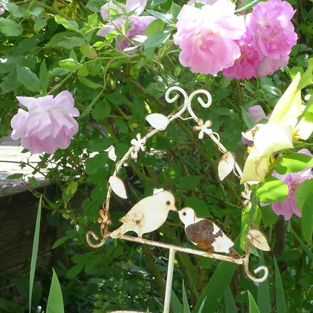 Lägenhet Mein Landhaeuschen Neustadt an der Weinstraße