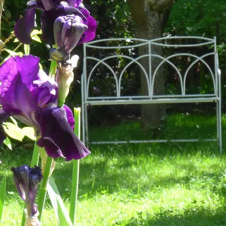 Mein Landhaeuschen Lägenhet Neustadt an der Weinstraße