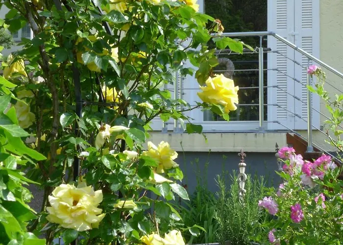 Mein Landhaeuschen * Neustadt an der Weinstraße