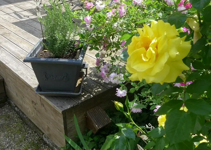 Apartamento Mein Landhaeuschen Neustadt an der Weinstraße